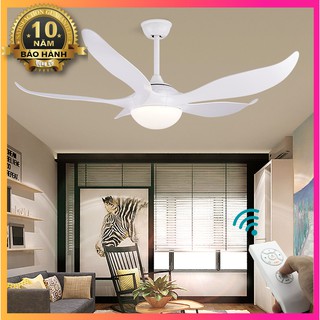 Quạt Trần Đèn Hiện Đại kích thước Lớn - Đèn Quạt Trần Phòng Khách, phòng ăn, Nhà Hàng, Khách Sạn SLY2819 [5 Cánh Nhựa]