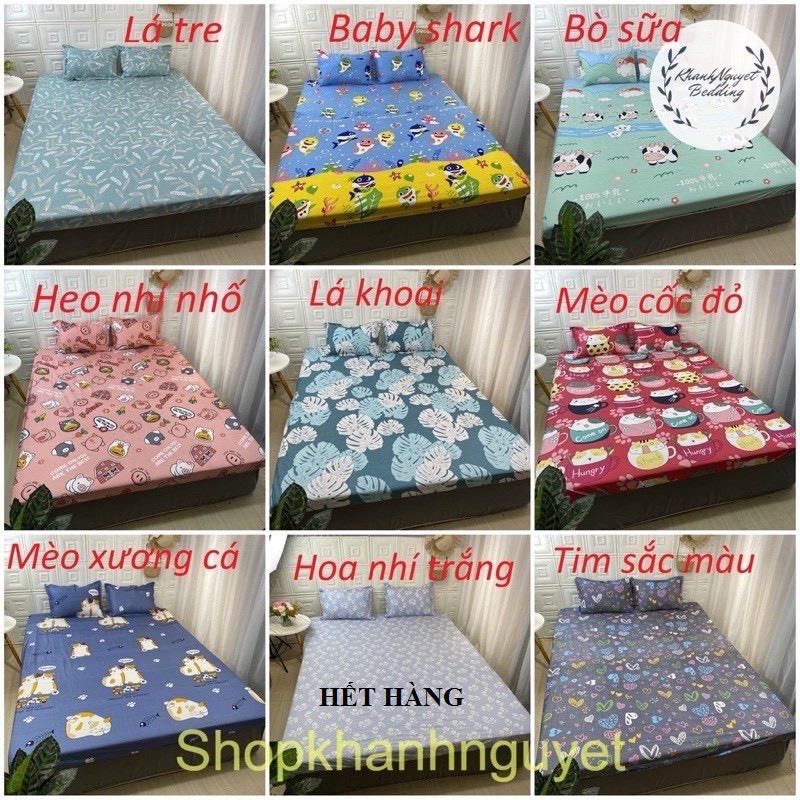 Bộ Ga giường cotton kèm áo gối nằm K'home vải cotton 3d poly siêu cute | BigBuy360 - bigbuy360.vn