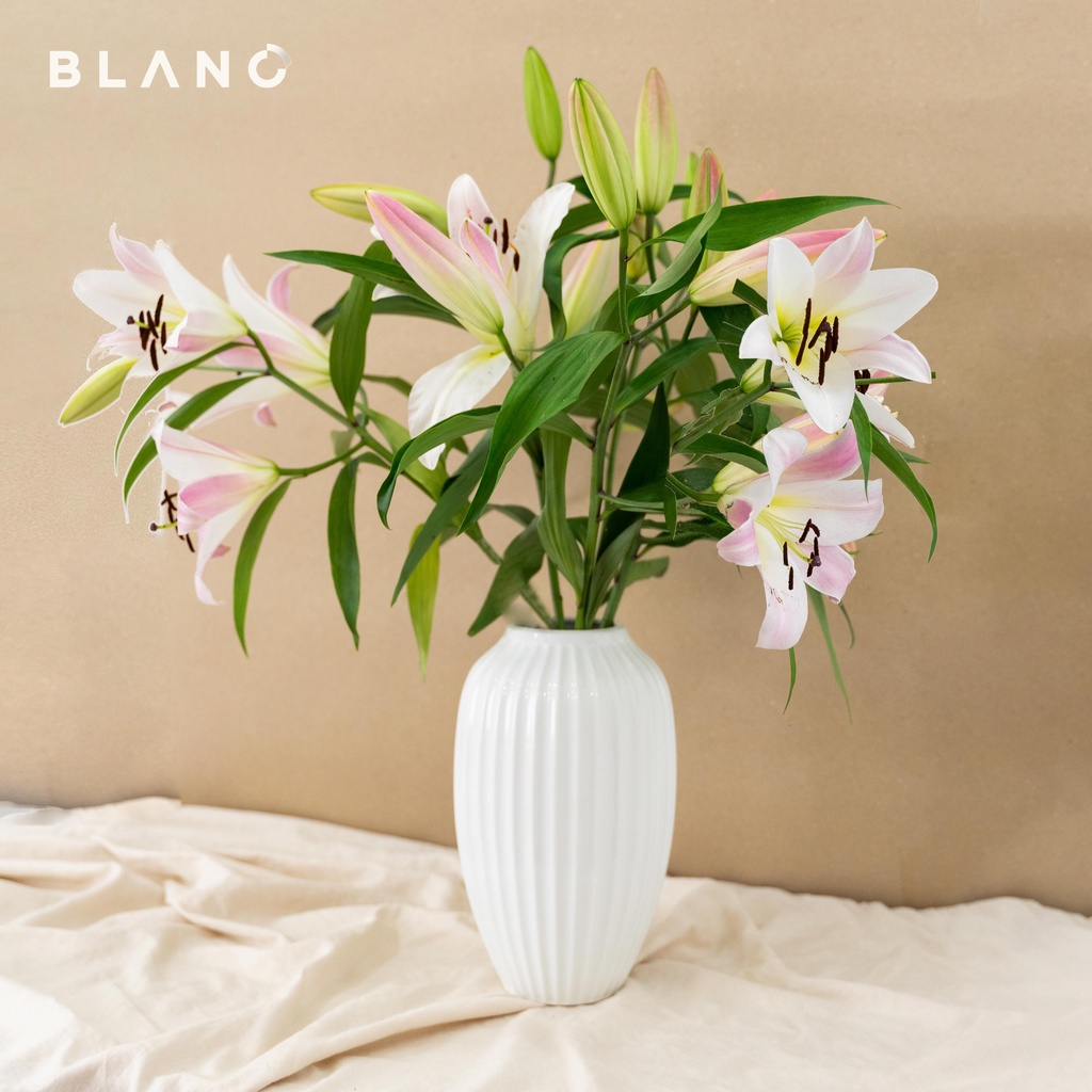[Mã BMLTA50 giảm 50K đơn 150K] Bình Hoa Gốm Sứ Bát Tràng- Bình Cắm Hoa Juhi BLANC' Cao 30cm