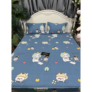 Combo 2 bộ ga gối chun trần 1m8x2m