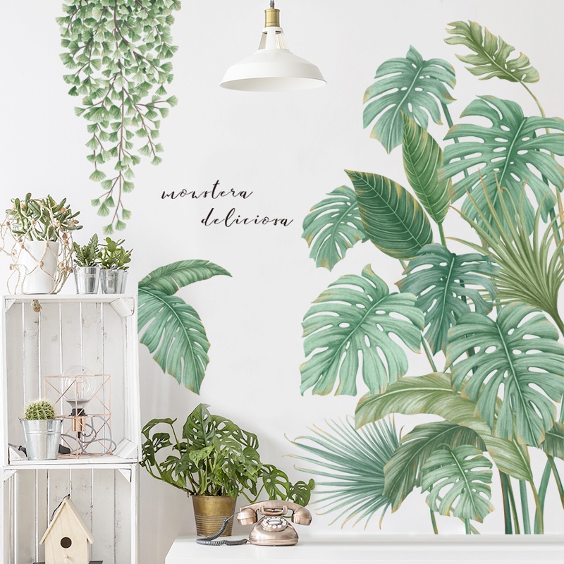 Decal dán tường tranh dán tường hình cây trầu bà Monstera trang trí nhà cửa
