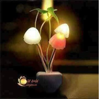 ĐÈN NGỦ CẢM ỨNG NGÀY TẮT TỐI BÂT HÌNH NẤM