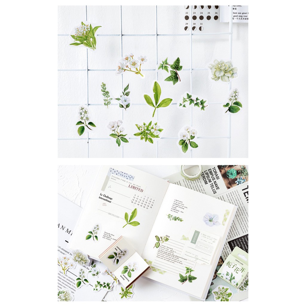 Bộ sticker/ Hình dán Kiểu Dáng Hình Lá &amp; Hoa Trắng (46 Hình)