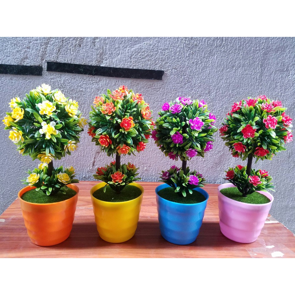 Chậu hoa cẩm tú cầu