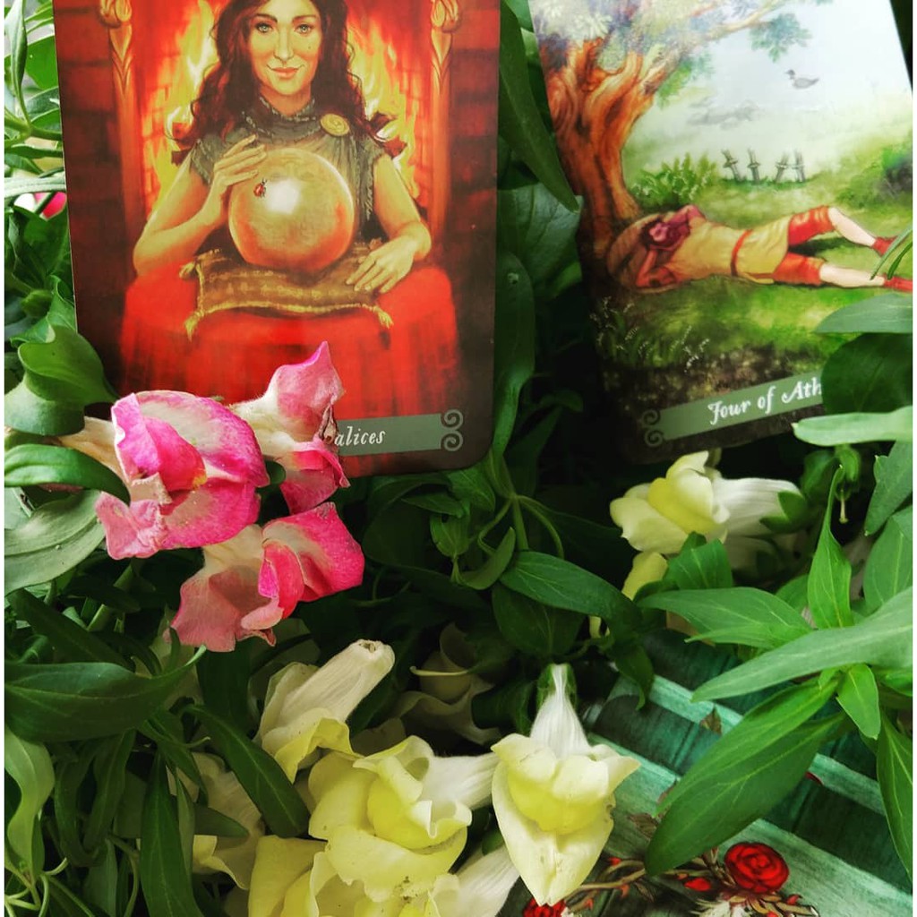 Bộ Bài Green Witch Tarot (Mystic House Tarot Shop)