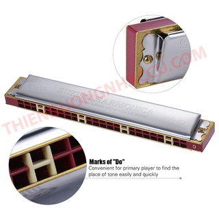 Kèn harmonica suzuki study - 24