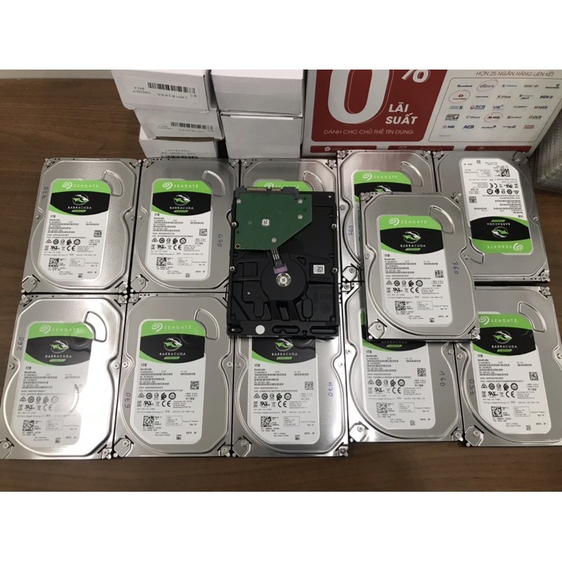 hdd seagate 1tb baracuda