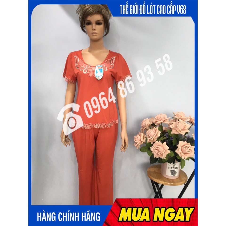Bộ quần áo nữ ngủ mặc nhà cộc tay, quần dài thun lạnh Paltal 13158 | BigBuy360 - bigbuy360.vn