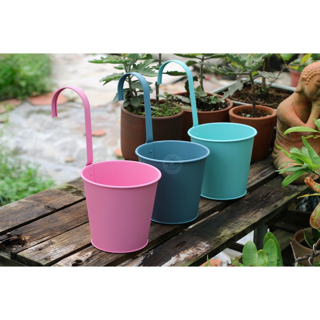 Chậu Treo Ban công, Cổng nhà - Phong Cách Châu Âu