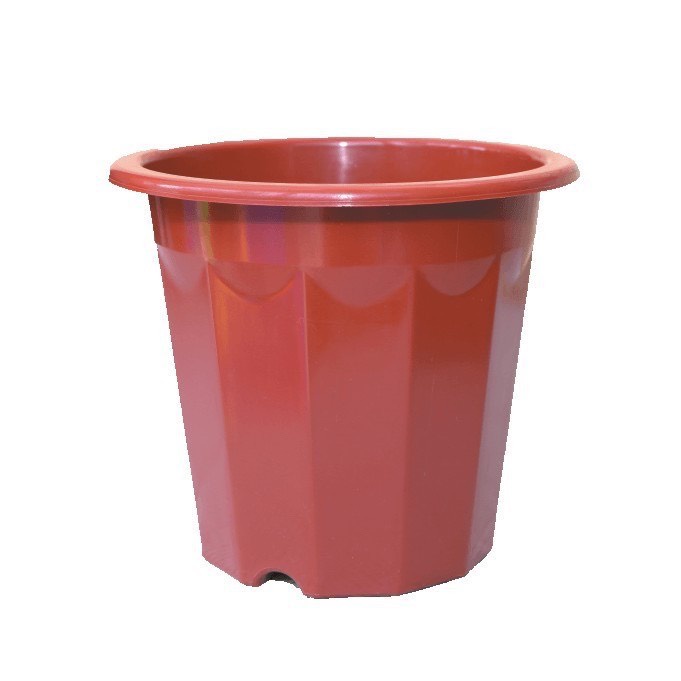 Chậu nhựa trồng ươm cây hoa E300 - 5 chậu màu nâu, hàng loại 1 nhựa dày dẻo KT 26x24cm