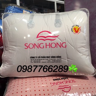 Ruột chăn đông LOẠI DÀY hàng chính hãng