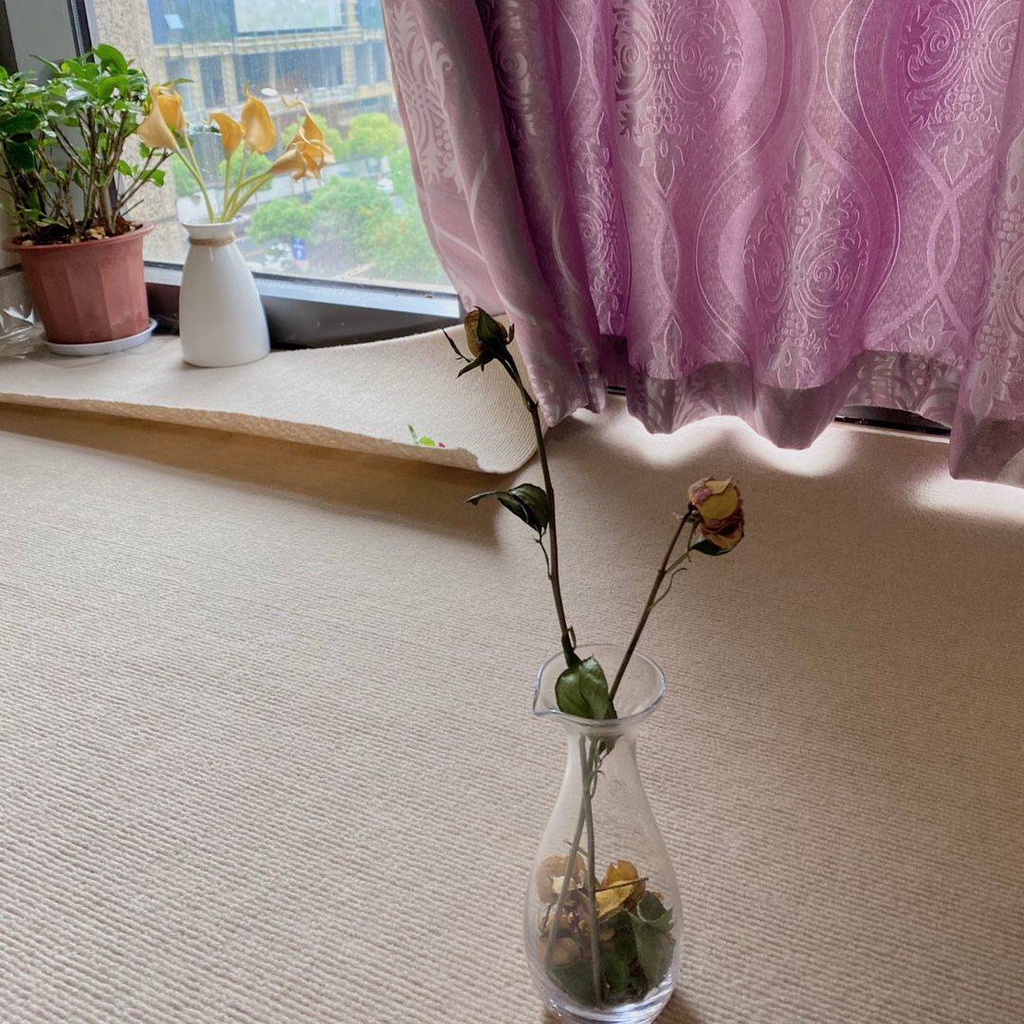 Thảm cuộn màu xám văn phòng thương mại diện tích lớn