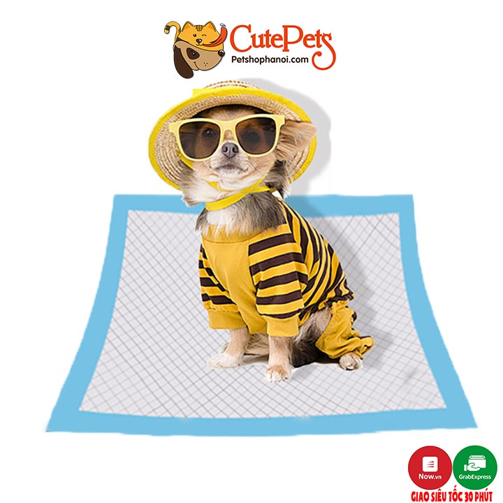 Tấm lót vệ sinh cho chó mèo Pet Diapers [Lẻ 5 cái] - Phụ kiện thú cưng Hà Nội