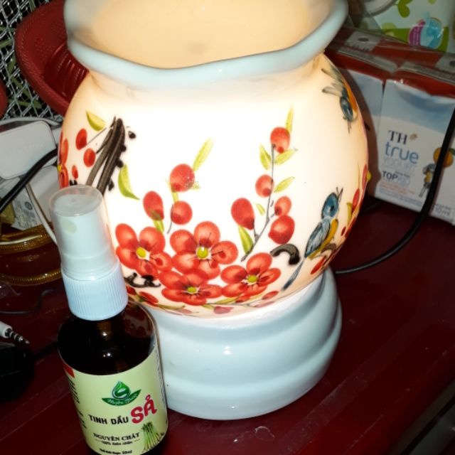 Combo đèn xông tinh dầu sả
