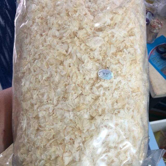 Nấm tuyết vụng