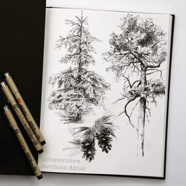 Bút Kim Line Đi Nét, Bút Lông Thư Pháp Chính Hãng SAKURA PIGMA MICRON