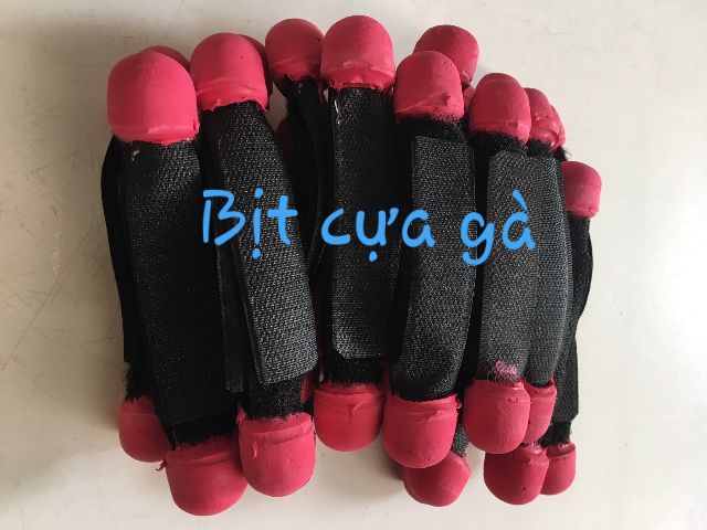 Bịt cựa gà tre và nòi