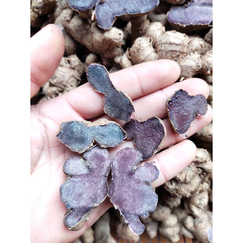 Gừng đen , ngải đen , black ginger
