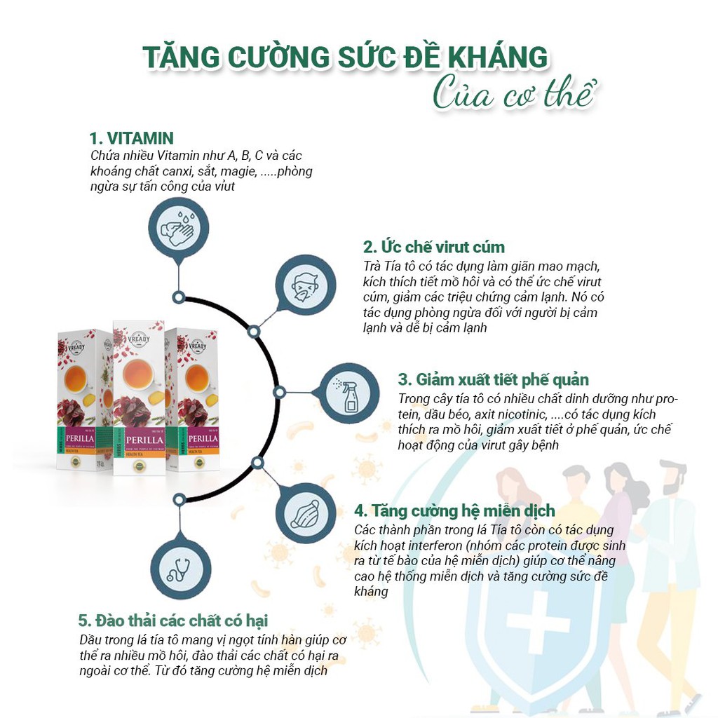 Trà Tía Tô Vready - Trà Túi Lọc Thanh Nhiệt, Giải Cảm, Giảm Cân Hiệu Quả | BigBuy360 - bigbuy360.vn