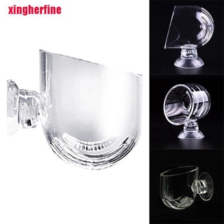 Cốc Thủy Tinh Trồng Cây Thủy Sinh
