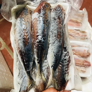 Cá nục 1 nắng