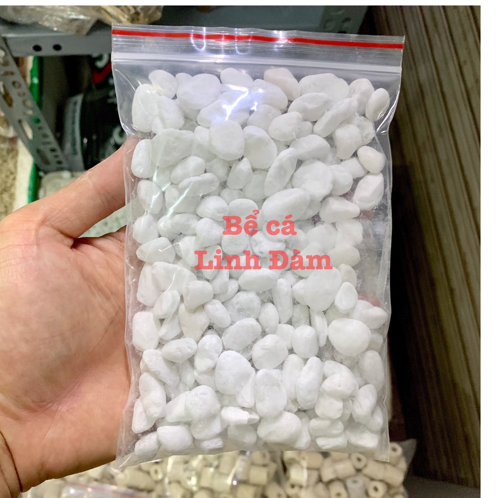 500gram Sỏi trắng trang trí bể cá - Chậu cây, tiểu cảnh