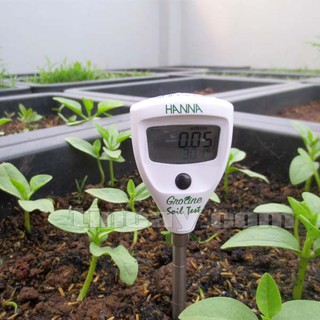 Máy Đo Độ Dẫn Điện Trong Đất Hanna Hi98331 (Máy Đo EC Đất)