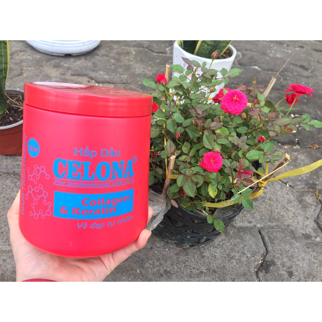 Hấp dầu CEOLONA Collagen & Karetin 1000 ml