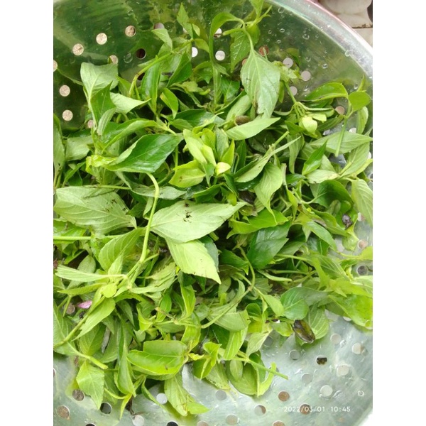 Lá cẩm đỏ khô 40g. hút chân không