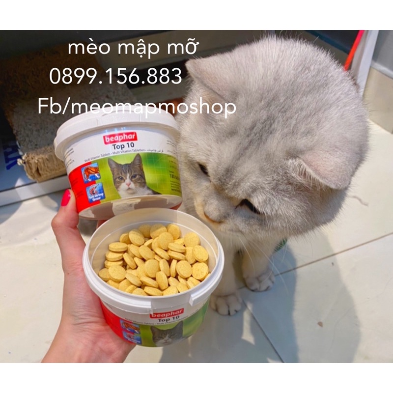 VITAMIN VIÊN BỔ SUNG CHO MÈO MỌI LỨA TUỔI BEAPHAR HÀ LAN
