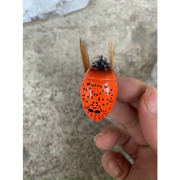 Mồi bọ cam câu lure