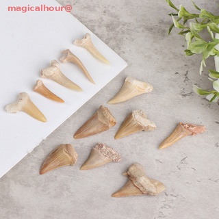 Mặt Dây Chuyền Hình Răng Cá Mập Bằng Khoáng Chất Tự Nhiên Mới