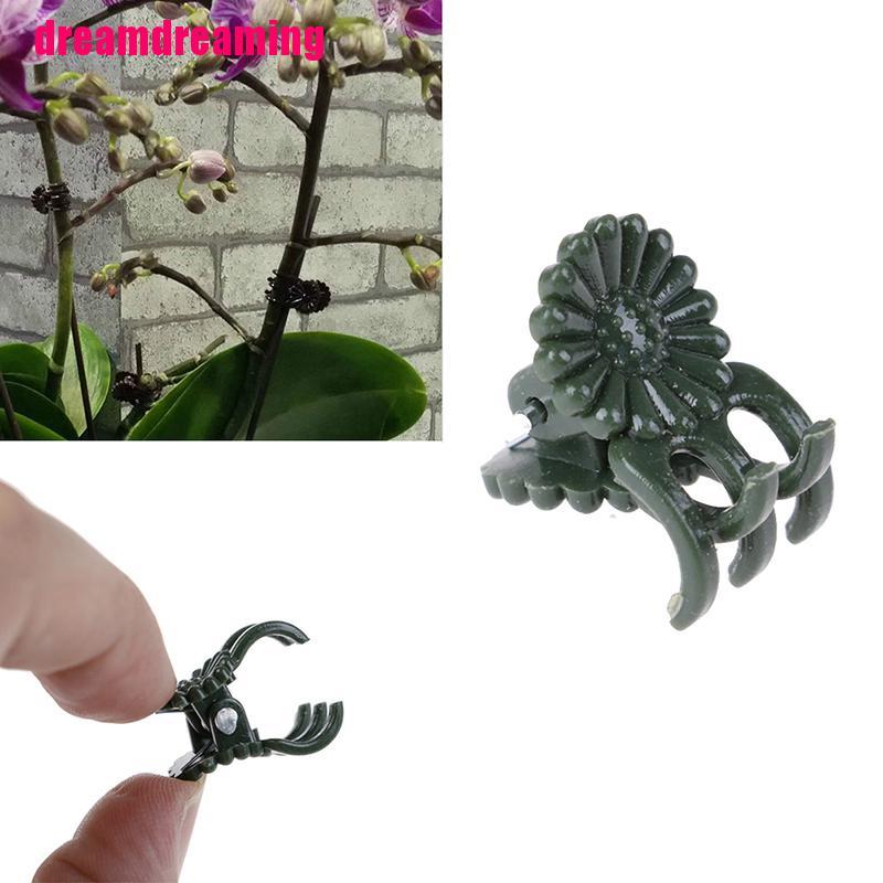 Bộ 20 Nhánh Hoa Lan Nhựa Cố Định Cành Hoa Lan Đặc Biệt