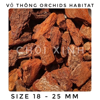 Vỏ thông size 18 - 25 mm vỏ thông trồng lan