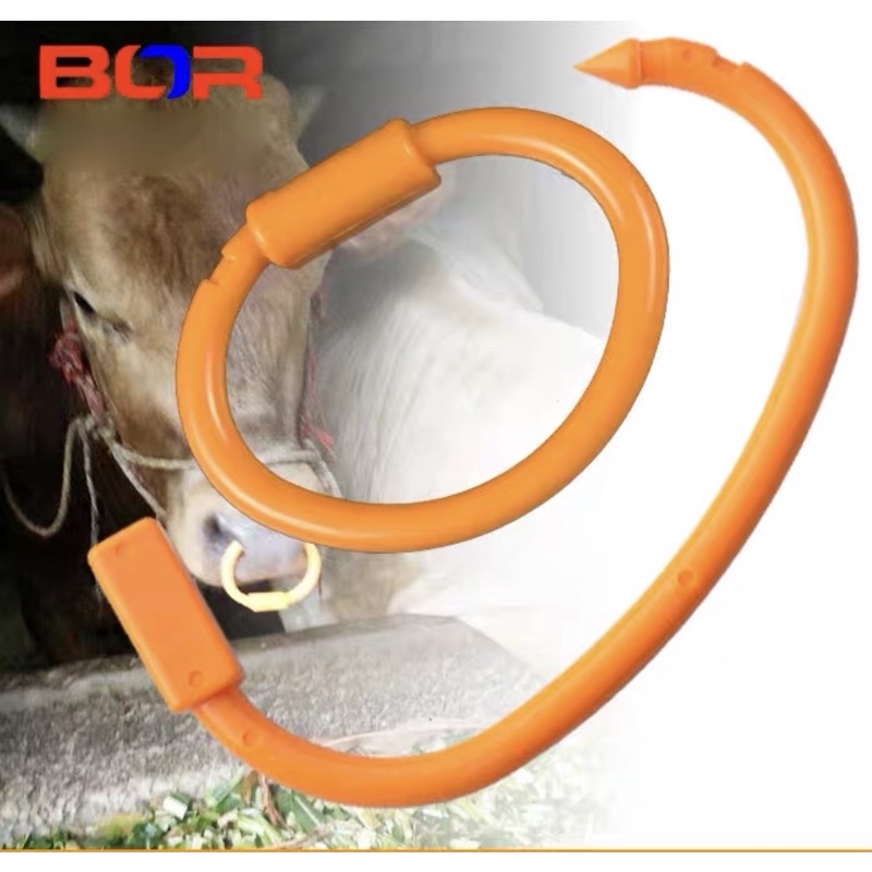 Vòng xỏ mũi bò nhựa Pakistan