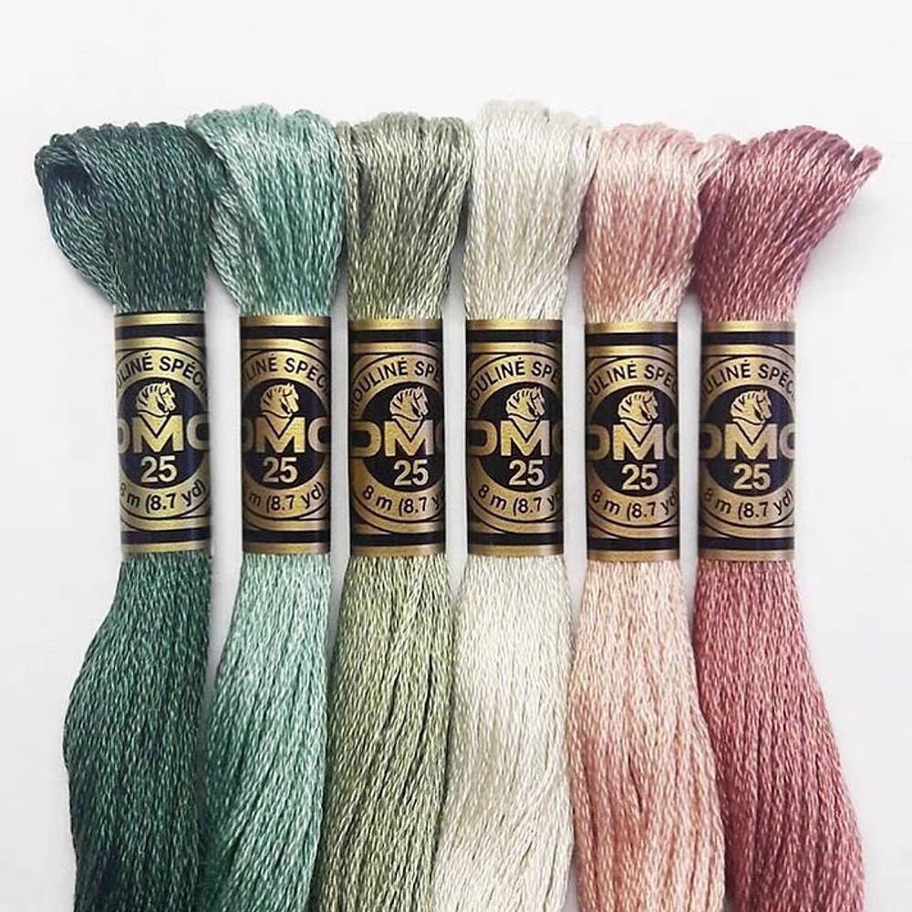 Chỉ Thêu Pháp DMC Embroidery Floss 12Skeins 8M Bảng 6/11