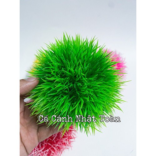 RONG CẦU ĐỦ MÀU TRANG TRÍ BỂ CÁ CAO 7CM
