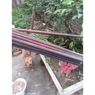 Đũa gỗ trắc nhà làm