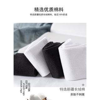 Vớ Nam Nữ Cổ Cao Kiểu Đơn Giản
