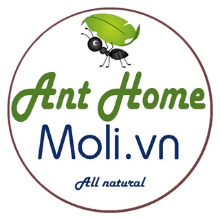Ant Home - Moli