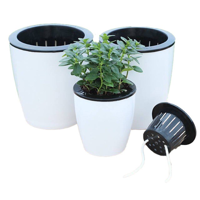 Chậu trồng cây thông minh tự tưới nước - 4 kích thước 11, 13, 16, 18 cm
