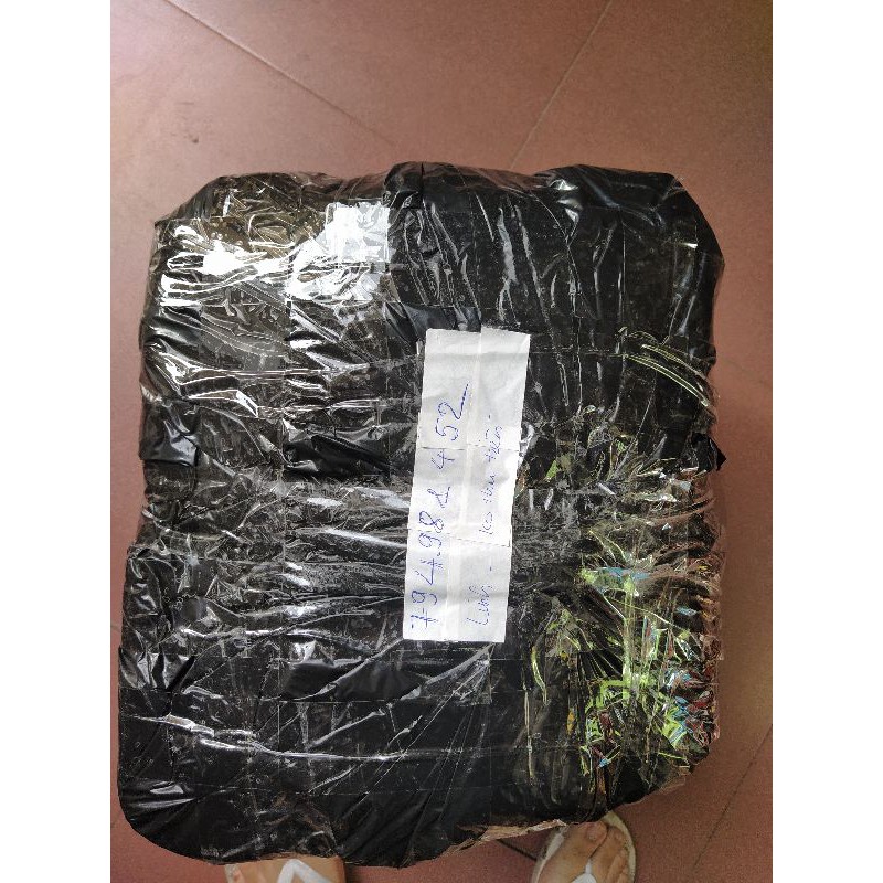 quần áo trẻ em_phù thùy 540