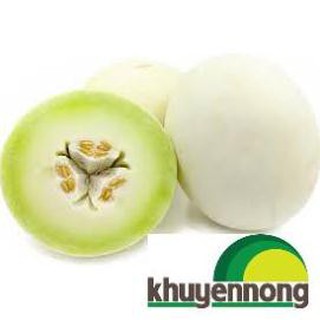 20 Hạt giống dưa lê trăng