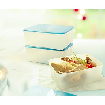 Hộp trữ đông 5.6L Tupperware ( 1 hộp )