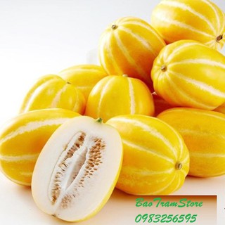 (Rẻ nhất) Hạt giống dưa thơm Hàn Quốc gói 10 hạt tại thietbinhavuon- hàng đẹp - giao hàng nhanh.