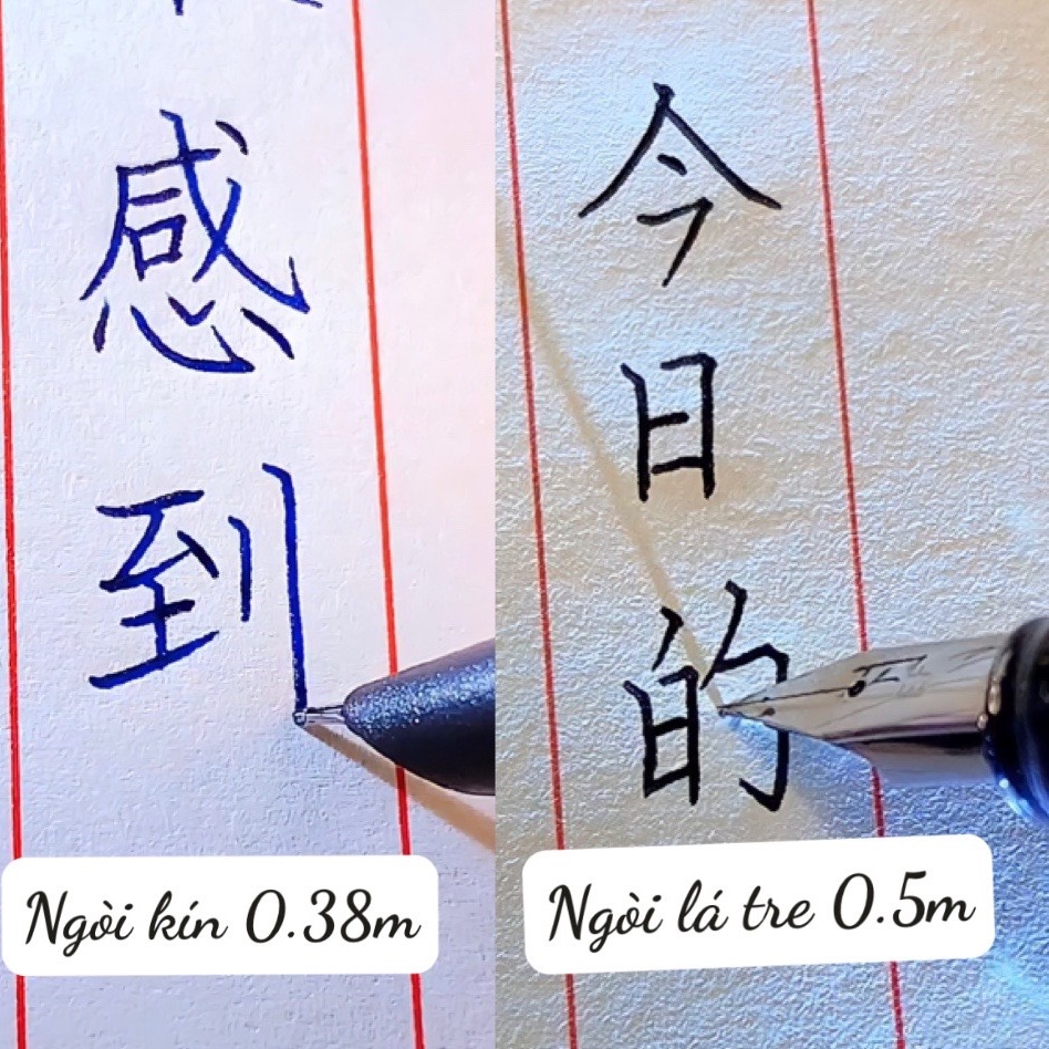 bút máy ngòi lá tre 0.5 EF luyện viết chữ hán đẹp-NK11