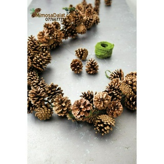 Mix 50 trái thông khô trang trí [ 30 nhỏ ,10 lớn,10trung]