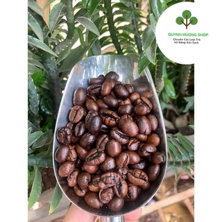 [Rẻ Vô Địch] Cà phê nguyên chất robusta/cafe bột (500g)