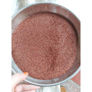1 lạng hạt ngũ hoa / hạt đình lịch nguyên chất