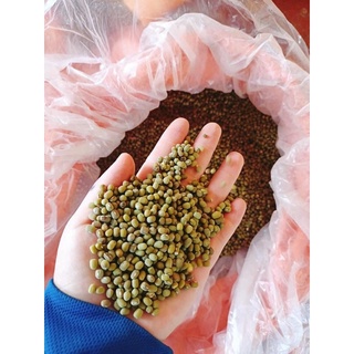 500g ĐẬU XANH LÀM GIÁ